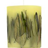 Acqua di Parma - Ljus - Oolong-teblad Fruit & Flower Candle