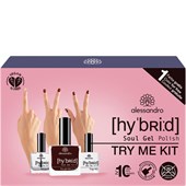 Alessandro - Hybrid Soul Gel Polish - Try Me Set Rouge Noir