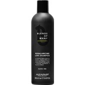 Alfaparf Milano - Blends of Many - Rebalancing Low Shampoo