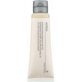 Aveda - Ansikte - Inner Light Mineral Tinted Moisture SPF 15