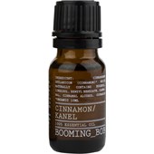 BOOMING BOB - Eteriska oljor - Cinnamon Essential Oil