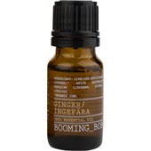 BOOMING BOB - Eteriska oljor - Ginger Essential Oil