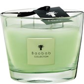 Baobab - Modernista - Vidre Poetry