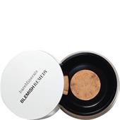 bareMinerals - Foundation - Blemish Remedy Foundation