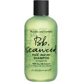 Bumble and bumble - Shampoo - Seaweed Shampoo