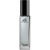Burberry - Mr. Burberry - Eau de Toilette Travel Spray