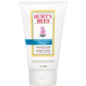 Burt's Bees - Ansikte - Intense Hydration Treatment Mask