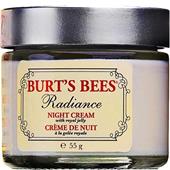 Burt's Bees - Ansikte - Radiance Night Cream