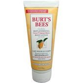 Burt's Bees - Kropp - Body Lotion