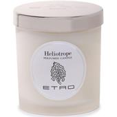 Etro - Heliotrope - ljus