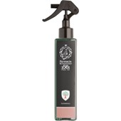 Farmacia SS. Annunziata 1561 - Rumssprayer - Legnaioli