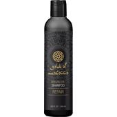 Gold of Morocco - Repair - Shampoo