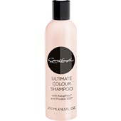 Great Lengths - Hårvård - Ultimate Color Shampoo
