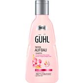 Guhl - Styrka från grunden - Shampoo