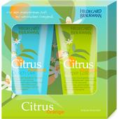 Hildegard Braukmann - Limitierte Editionen - Citrus Orange Set