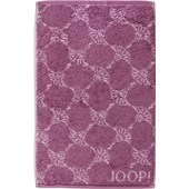 JOOP! - Cornflower - Gästhandduk Magnolia