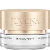 Juvena - Skin Rejuvenate Delining - Delining Night Cream Normal to Dry