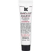 Kiehl's - Läppvård - Scented Lipbalm #1