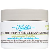 Kiehl's - Peeling & Masken - Rare Earth Deep Pore Cleansing Masque
