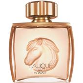 Lalique - Equus - Eau de Toilette Spray