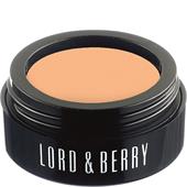 Lord & Berry - Foundation - Flawless Poured Concealer