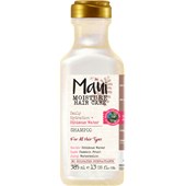 Maui - Shine Enhance - Awapuhi Shampoo