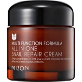 Mizon - Ansiktskrämer - All-In-One Cream