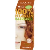Sante Naturkosmetik - Hair care - Natural Plant Hair Color