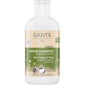 Sante Naturkosmetik - Hair care - Repair Shampoo Bio-Ginkgo & Olive