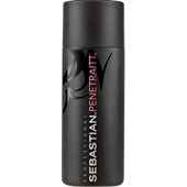 Sebastian - Foundation - Penetraitt Strenghtening and Repair Shampoo