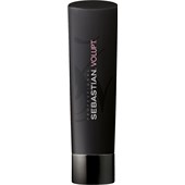 Sebastian - Foundation - Volupt Shampoo