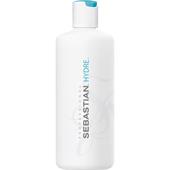 Sebastian - In Salon Service - Hydre Professional Treatment