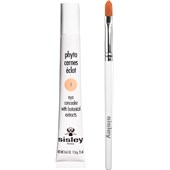 Sisley - Ögon - Phyto-Cernes Eclat