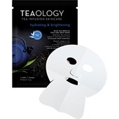 Teaology - Ansiktsvård - Blått te Miracle Face and Neck Mask