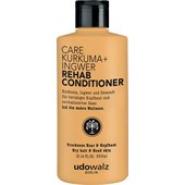 Udo Walz - Care turmeric + ginger - Rehab Conditioner