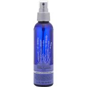 Villa Lodola - Hårvård - Aqua Lavender Mist