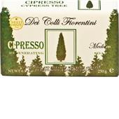 Nesti Dante Firenze - Dei Colli Fiorentini - Cypress Tree Soap