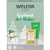 Weleda - Duschvård - Presentset Skin food & fast duschtvål