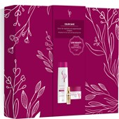 Wella - Color Save - Presentset