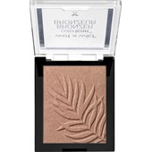 wet n wild - Teint - Color Icon Bronzer