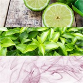 Calvin Klein - ck one - Deodorant Stick