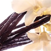 GUERLAIN - Shalimar - Philtre de Parfum Spray