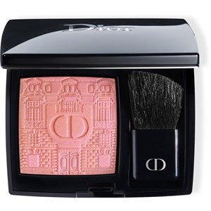 DIOR - X-Mas Look 2021 - The Atelier of Dreams limited Edition  Rouge Blush