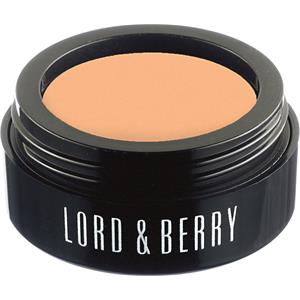 Lord & Berry - Foundation - Flawless Poured Concealer